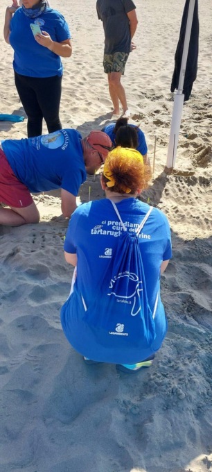 TERRACINA: NIDI TARTARUGA, I VOLONTARI SENSIBILIZZANO I CITTADINI
