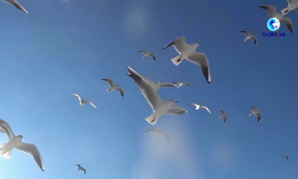 Africa: cooperazione con Cina aiuta a realizzare aspirazioni di economia blu