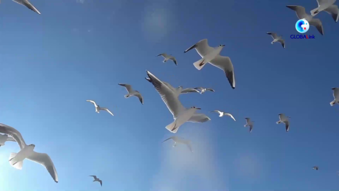 Africa: cooperazione con Cina aiuta a realizzare aspirazioni di economia blu