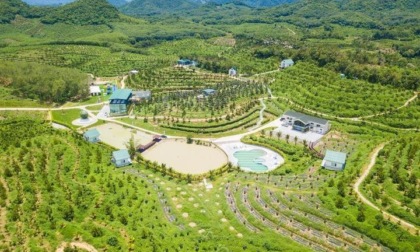 Cina: Hainan, durian coltivati nel Paese favoriscono rivitalizzazione rurale (2)