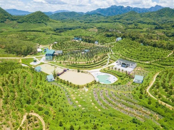 Cina: Hainan, durian coltivati nel Paese favoriscono rivitalizzazione rurale (2)