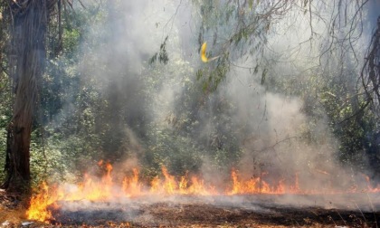 Incendio nella zona collinare. L’ennesimo di questa estagione estiva