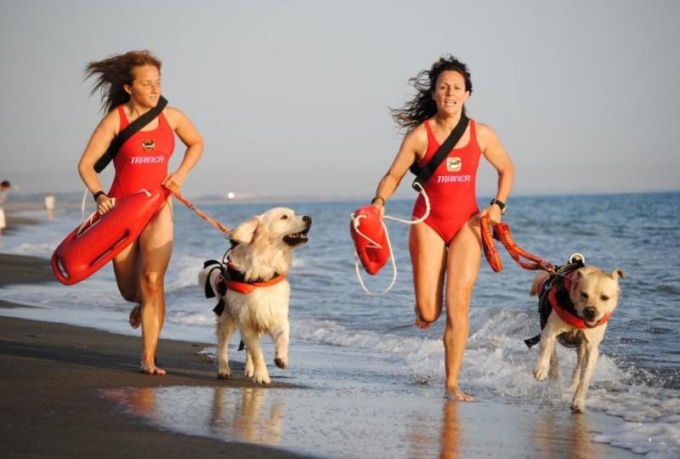FONDI: CANI SALVATAGGIO, DIMOSTRAZIONI IN SPIAGGIA