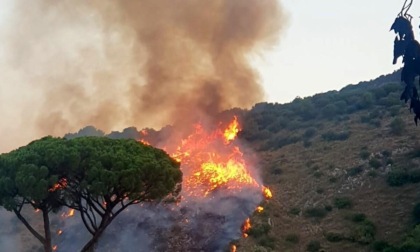 REGIONE: INCENDI, L'ALLARME DEI VIGILI DEL FUOCO