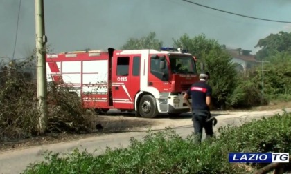 SABAUDIA: ROGO DISTRUGGE VIVAIO, FINESTRE CHIUSE