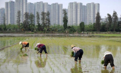 Vita idillica di una famiglia belga nella Cina rurale