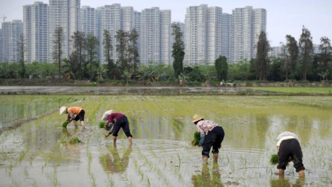 Vita idillica di una famiglia belga nella Cina rurale