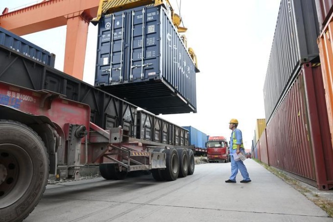 Cina: Guizhou, Weining coltiva tagete per medicina erboristica (1)