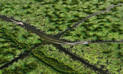 Cina: Shandong, parco di zone umide a Jining