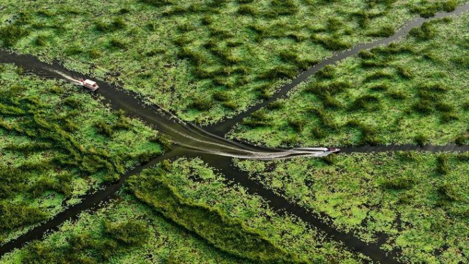 Cina: Shandong, parco di zone umide a Jining