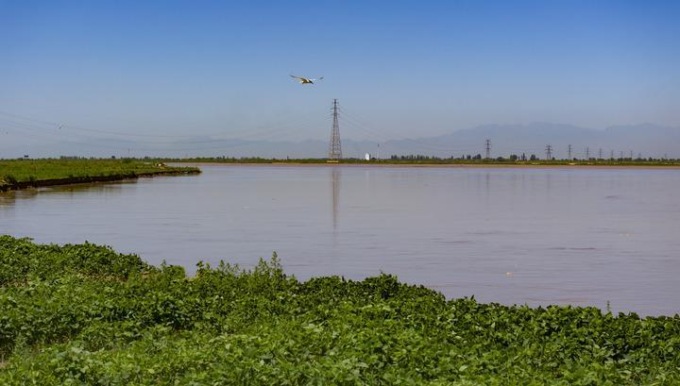 Cina: Ningxia, panorama del fiume Giallo (3)