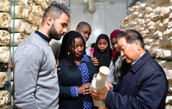 Cina: tecnologia dell’erba ibrida migliora il mondo (1)