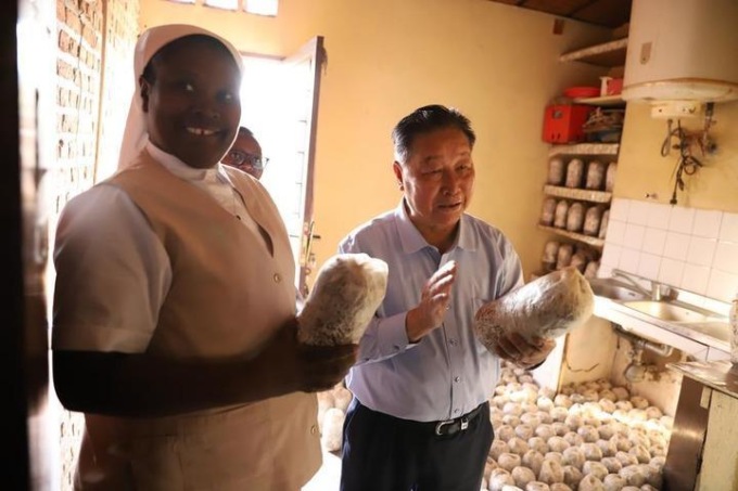 Cina: tecnologia dell’erba ibrida migliora il mondo (3)