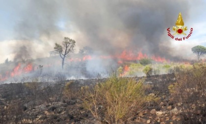 PRIVERNO: INCENDIO DISTRUGGE 90 ETTARI DI VEGETAZIONE