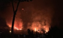 LATINA: INCENDI, IL WWF CHIEDE UN TAVOLO DI CONCERTAZIONE