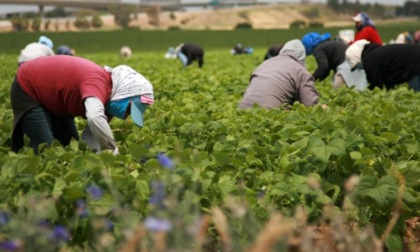 ROMA/LATINA: LAVORO, I CONTROLLI