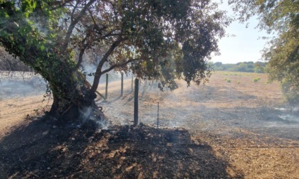 SAN FELICE CIRCEO: INCENDIO LAMBISCE LE ABITAZIONI