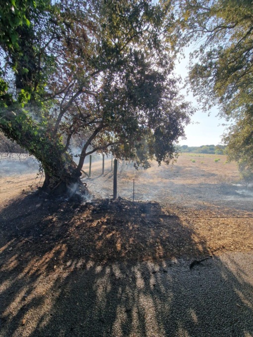 SAN FELICE CIRCEO: INCENDIO LAMBISCE LE ABITAZIONI