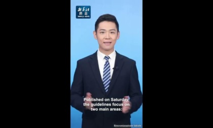 Cina: emette linee guida per trasformazione coordinata digitale, verde