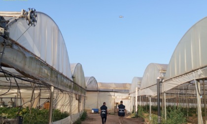 TERRACINA: LAVORO NERO, CONTROLLI IN DUE AZIENDE