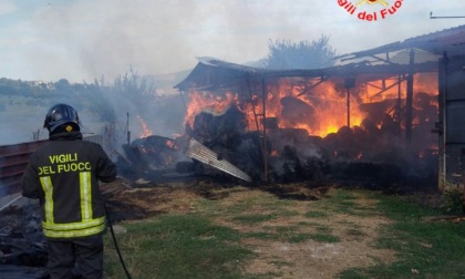 SEZZE: INCENDIO DISTRUGGE ETTARI DI VEGETAZIONE