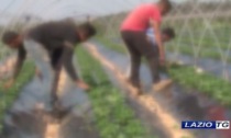 VITERBO: SFRUTTAMENTO DI LAVORATORI STRANIERI, NEI GUAI DUE IMPRENDITORI