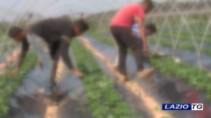 VITERBO: SFRUTTAMENTO DI LAVORATORI STRANIERI, NEI GUAI DUE IMPRENDITORI