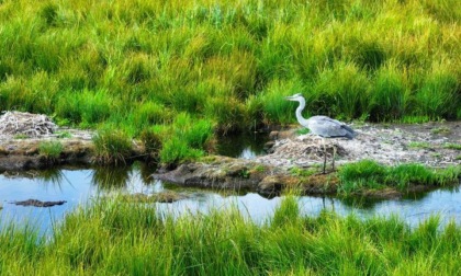 Cina: Gansu, panorama nella Riserva naturale nazionale di Gahai-Zecha