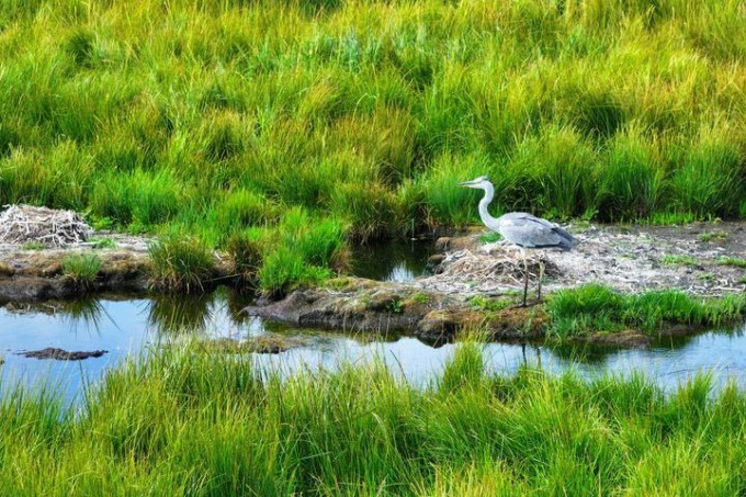 Cina: Gansu, panorama nella Riserva naturale nazionale di Gahai-Zecha