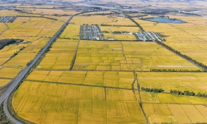 Cina: festival del raccolto dei contadini nello Heilongjiang