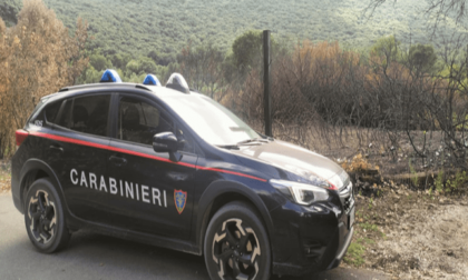 SABAUDIA: INCENDI NEL PARCO, UNA DENUNCIA
