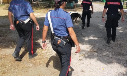 ROMA: SPACCIO DI DROGA, 30 ARRESTI