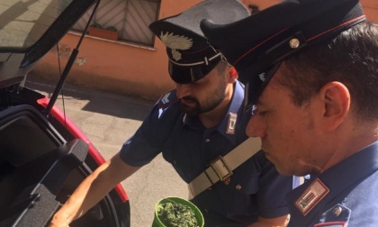 ROMA: SPACCIO, SMANTELLATA LA BANDA