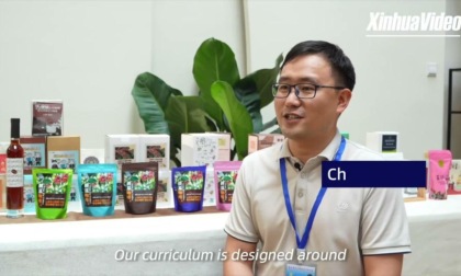 castle straddling the Reichenbach Falls