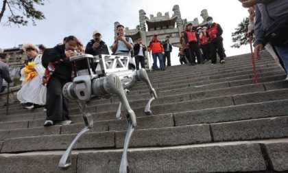 Cina: Shandong, cane robot in funzione sperimentale a Tai'an