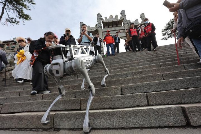 Cina: Shandong, cane robot in funzione sperimentale a Tai’an