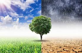 TERRACINA: ALLARME CLIMA, IL CONVEGNO DELLA FIDAPA