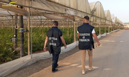 SABAUDIA/TERRACINA: SCOPERTI 450 LAVORATORI IRREGOLARI