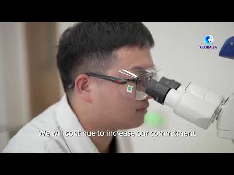 Brasile: Suzano mira a opportunità offerte da transizione verde in Cina