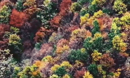 Cina: colori autunnali in piena fioritura nello Heilongjiang