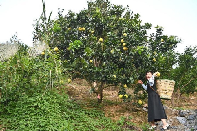 Cina: Guangxi, artigianato locale di intreccio del bambù