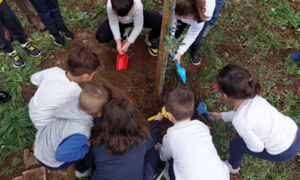 La Festa dell’Albero all’I.C.Alfredo Fiorini