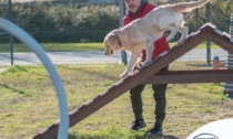 TERRACINA: "DOG VILLAGE", INCLUSIONE SOCIALE CON GLI AMICI A QUATTRO ZAMPE