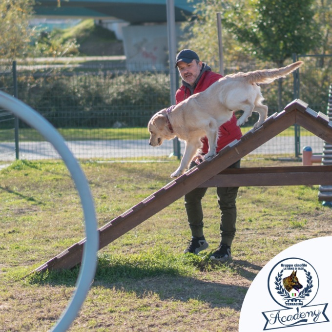 TERRACINA: “DOG VILLAGE”, INCLUSIONE SOCIALE CON GLI AMICI A QUATTRO ZAMPE