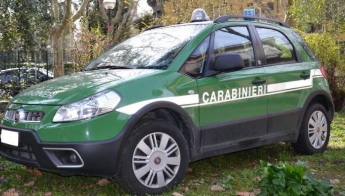 APRILIA: ARRESTATO BRACCONIERE CON FUCILE RUBATO