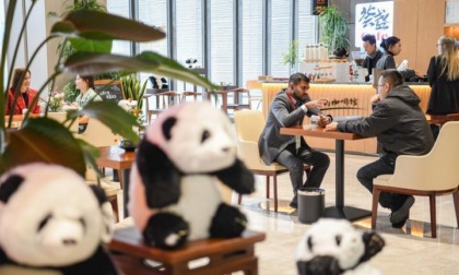 Cina: diventiamo panda partner!