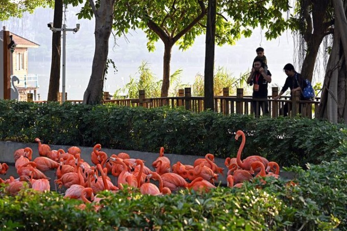 Cina: Guangdong, area panoramica di Xinghu a Zhaoqing (2)