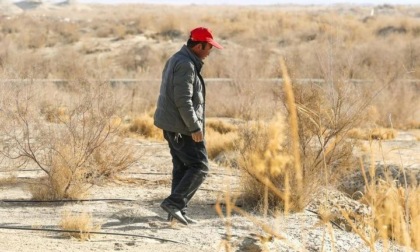 Cina: contadino dello Xinjiang sfida il più grande deserto del Paese (1)