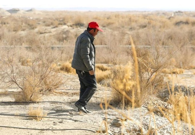 Cina: contadino dello Xinjiang sfida il più grande deserto del Paese (1)