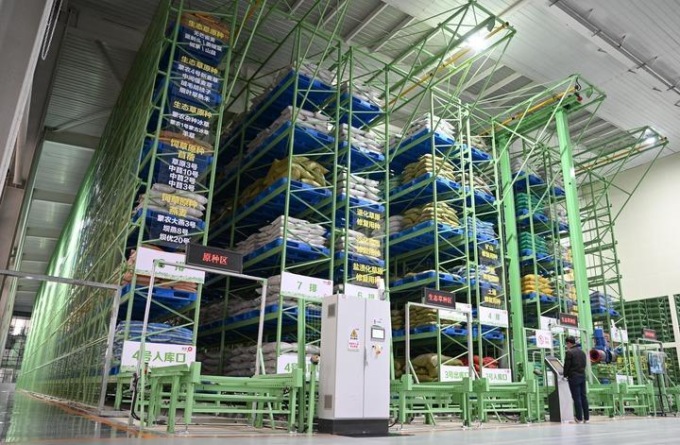 Cina: compie progressi in industria delle sementi